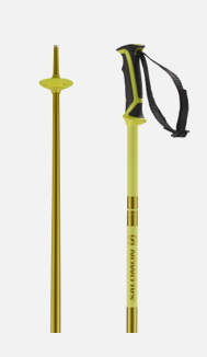 Salomon Arctic Skistave