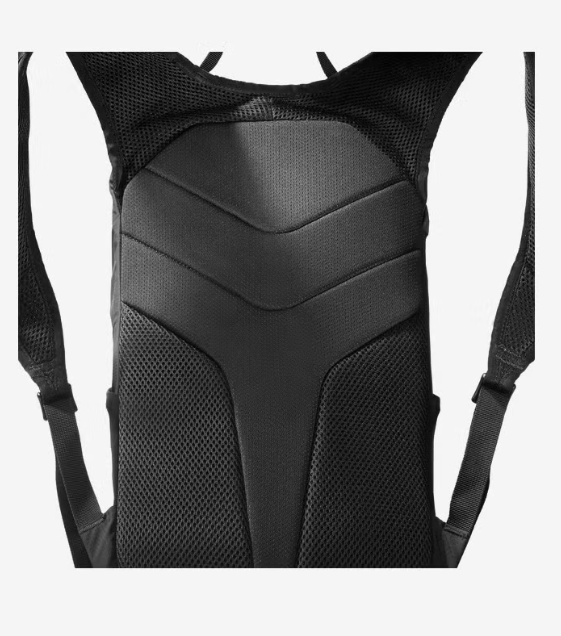 Salomon Trailblazer Rygsæk 10L Black/Alloy