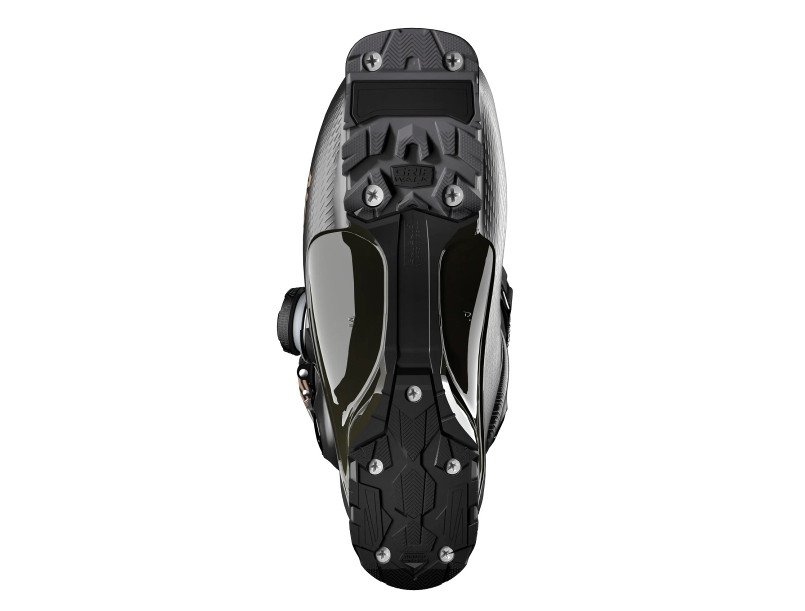 Salomon S/PRO Delta Boa 95 GW