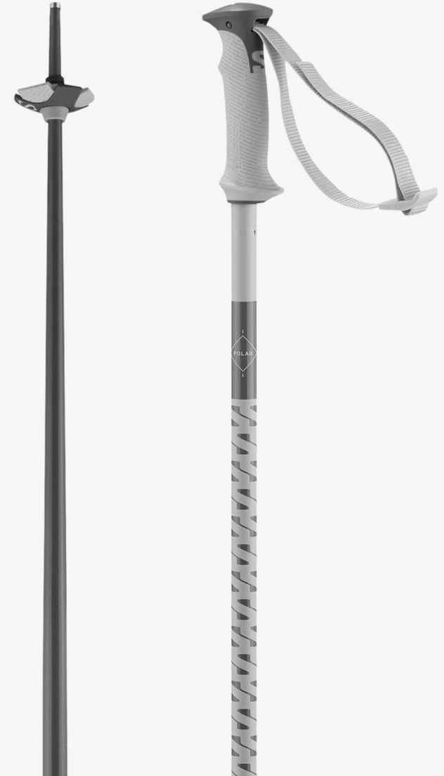 Salomon Polar Grey Violet