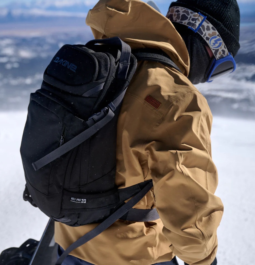 Dakine Heli Pro 20L Black