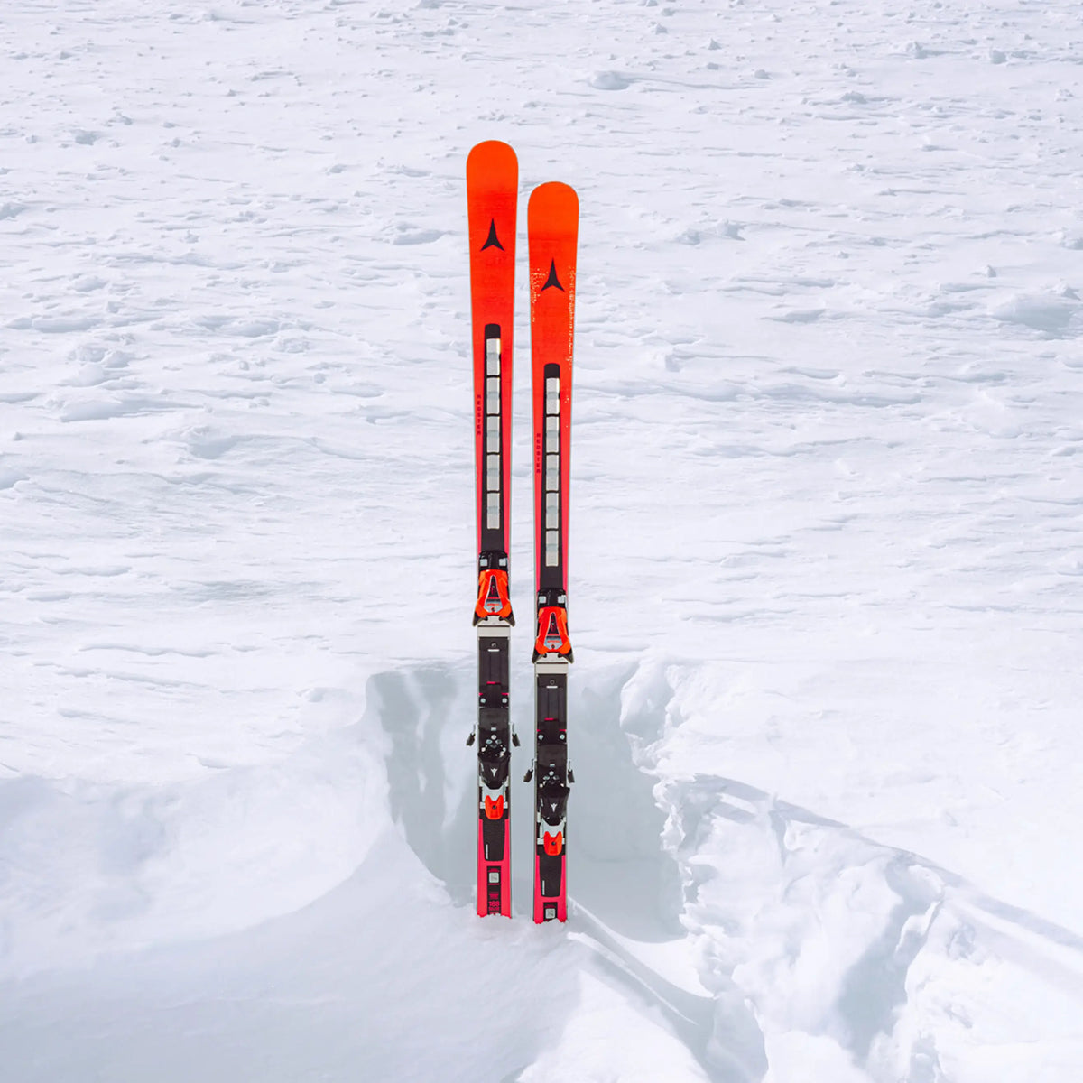 Ski