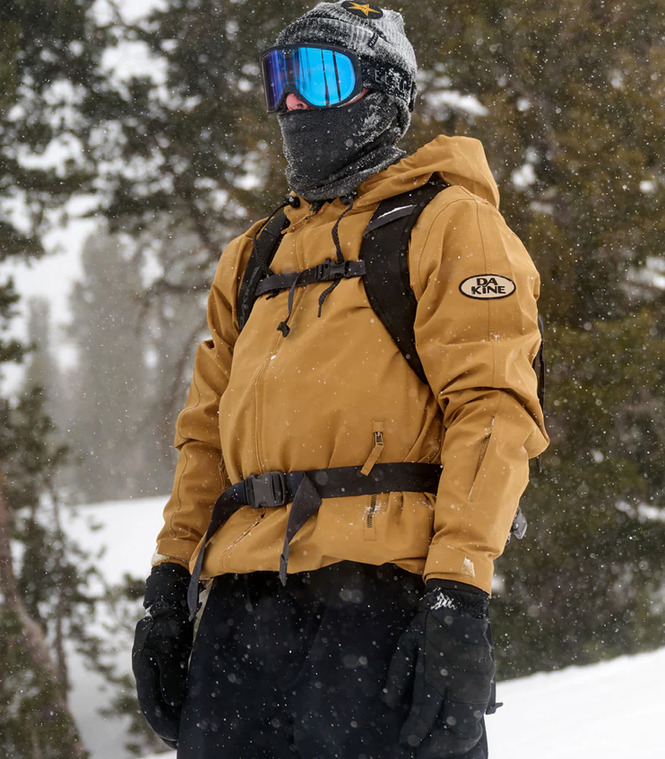 Dakine Heli Pro 20L Black